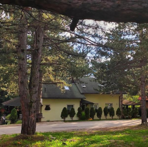Cvet Zlatibor
